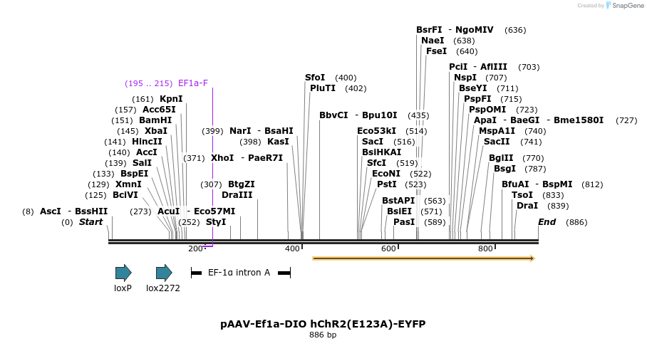 46104_map