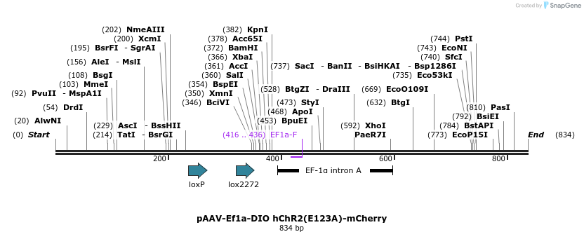 46105_map