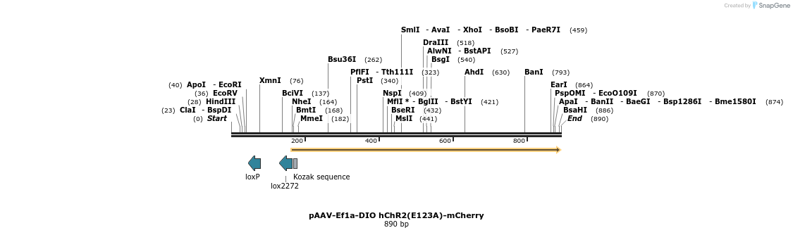 46106_map