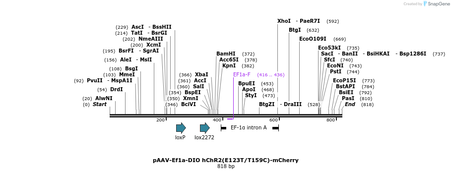 46109_map