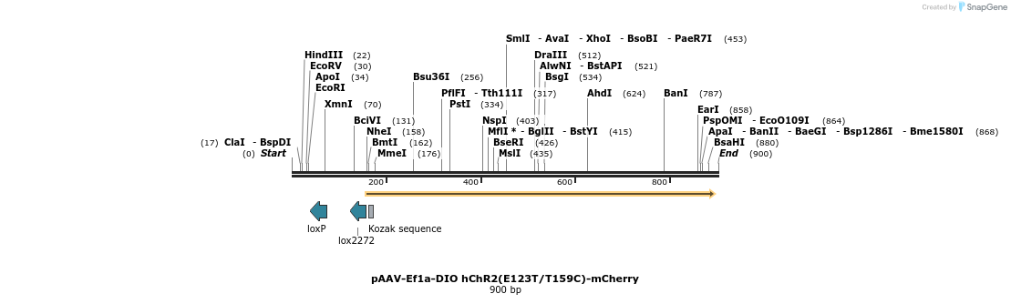 46110_map
