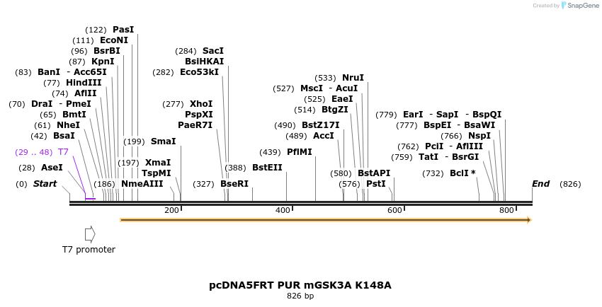 46111_map