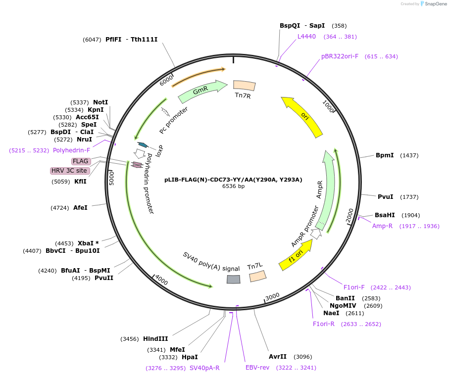 461121_map