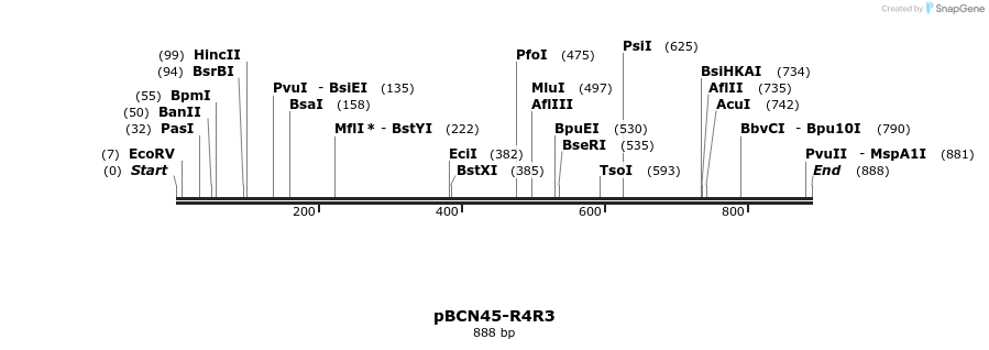 46113_map