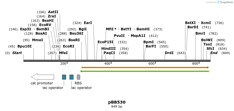 46115_map