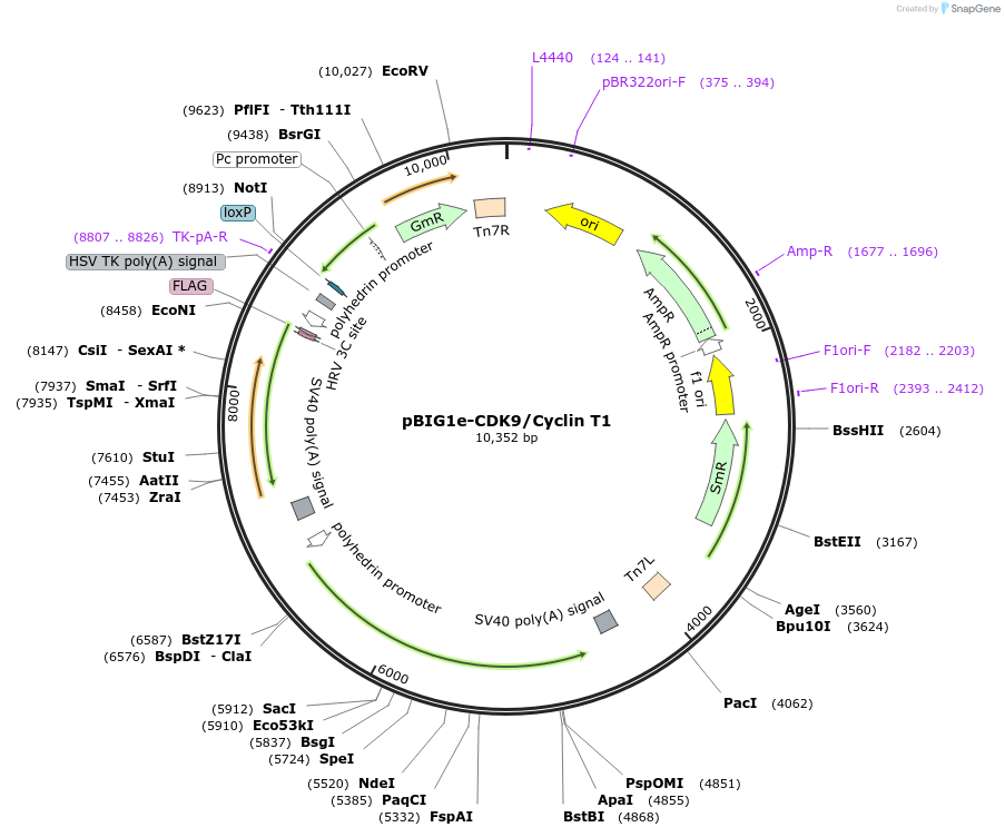 461156_map