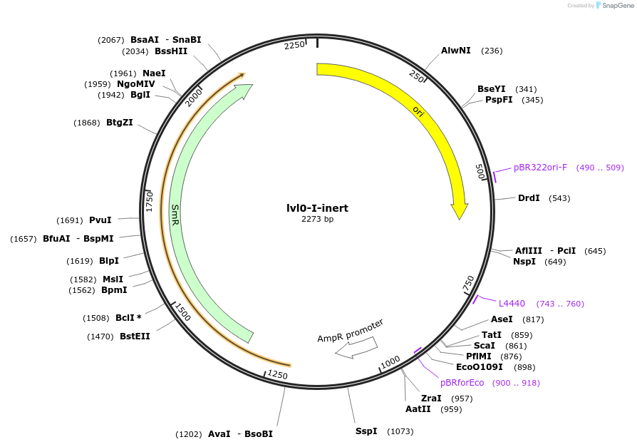 229159-plasmid-map-sequence-id-461179
