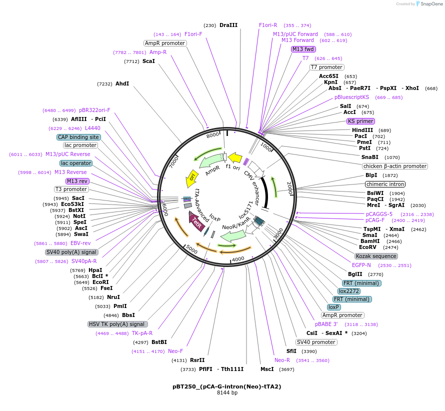 46120_map