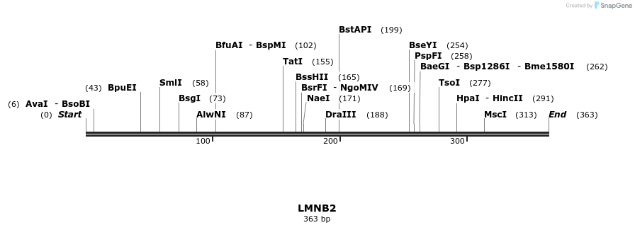 46123_map