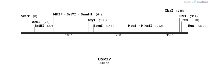 46127_map