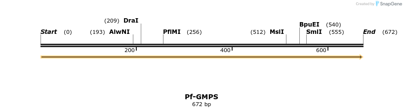 46129_map