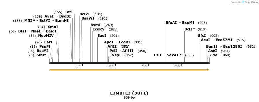 46132_map
