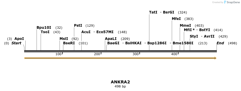 46136_map