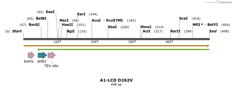 461411_map
