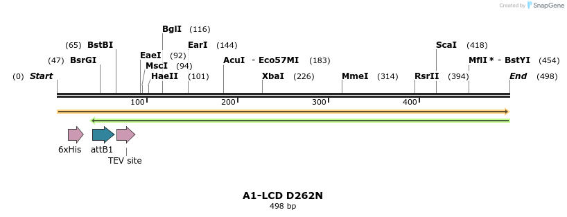 461412_map