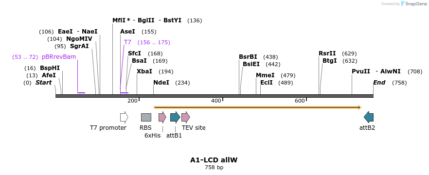 461413_map