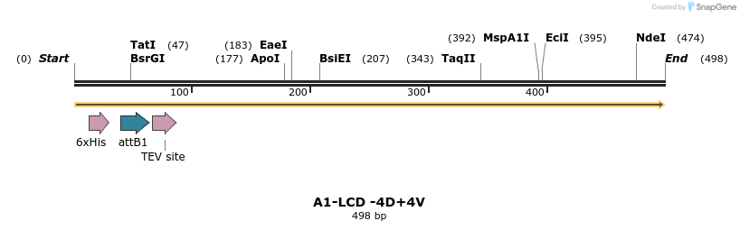 461414_map