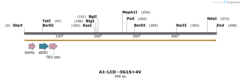 461416_map