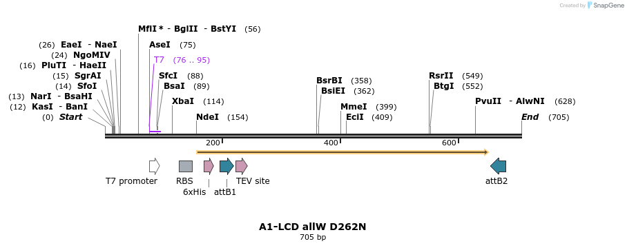 461419_map
