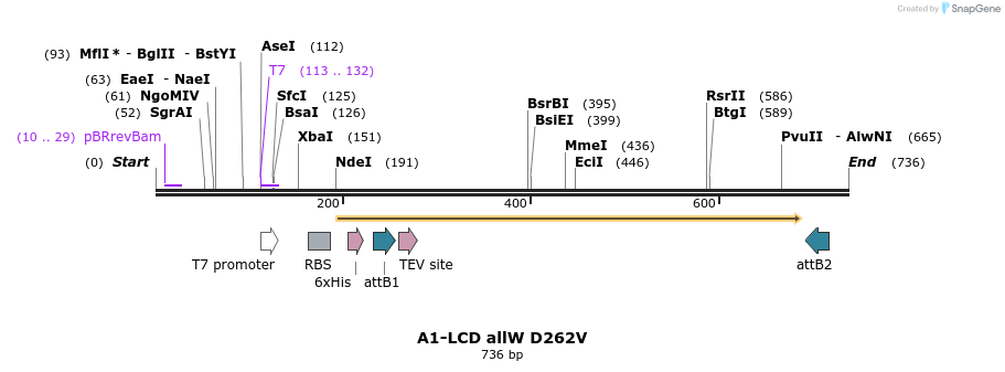 461420_map