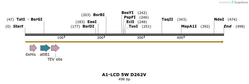 461421_map