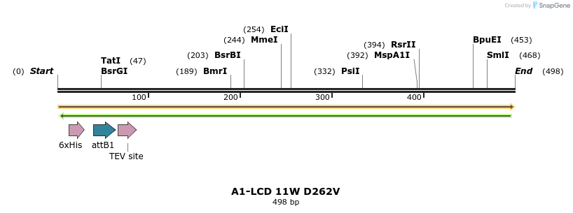 461422_map