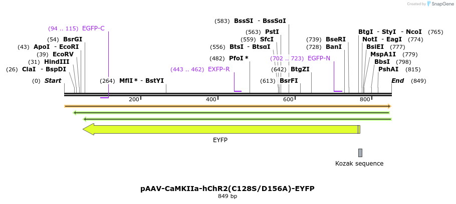 46152_map