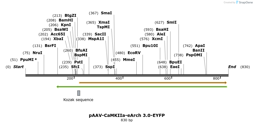 46161_map