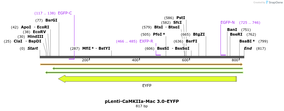 46170_map