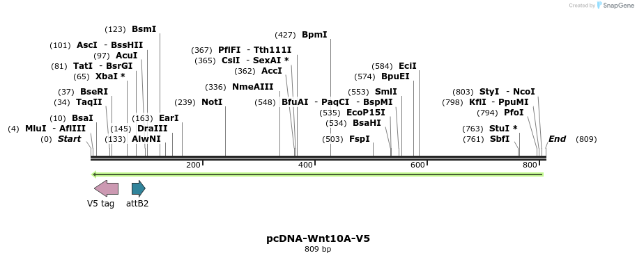 46176_map