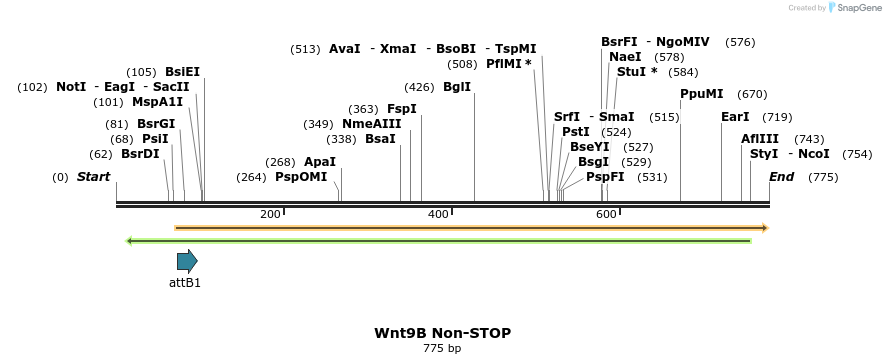 46184_map