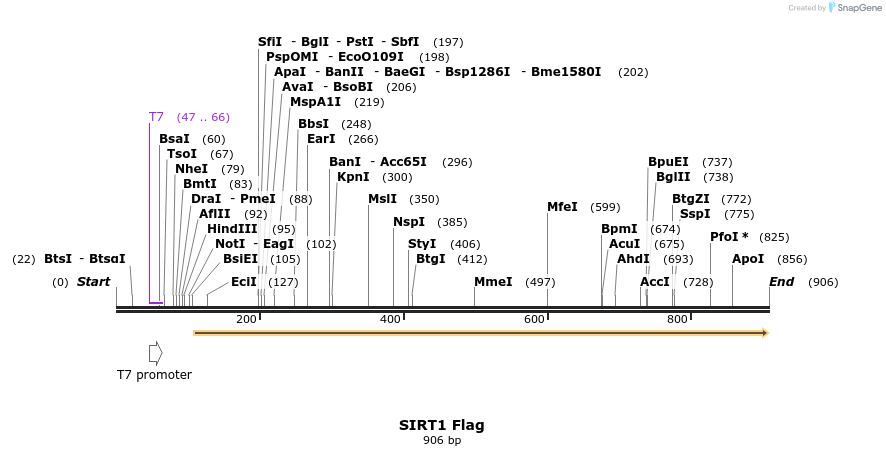 46188_map