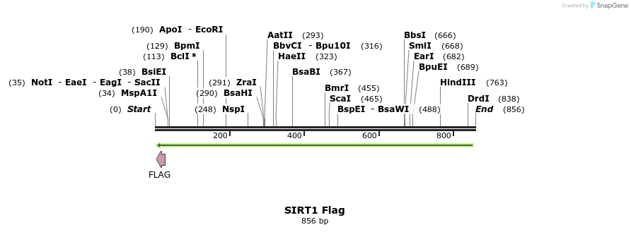 46189_map