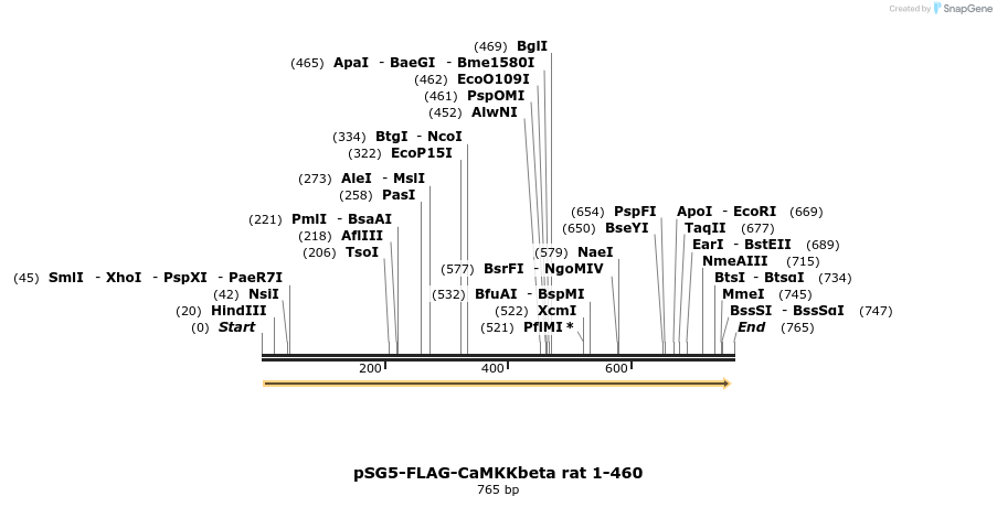 46197_map
