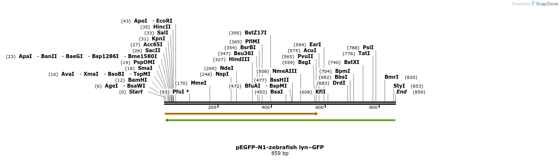 46198_map
