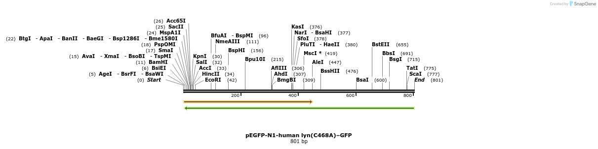 46201_map