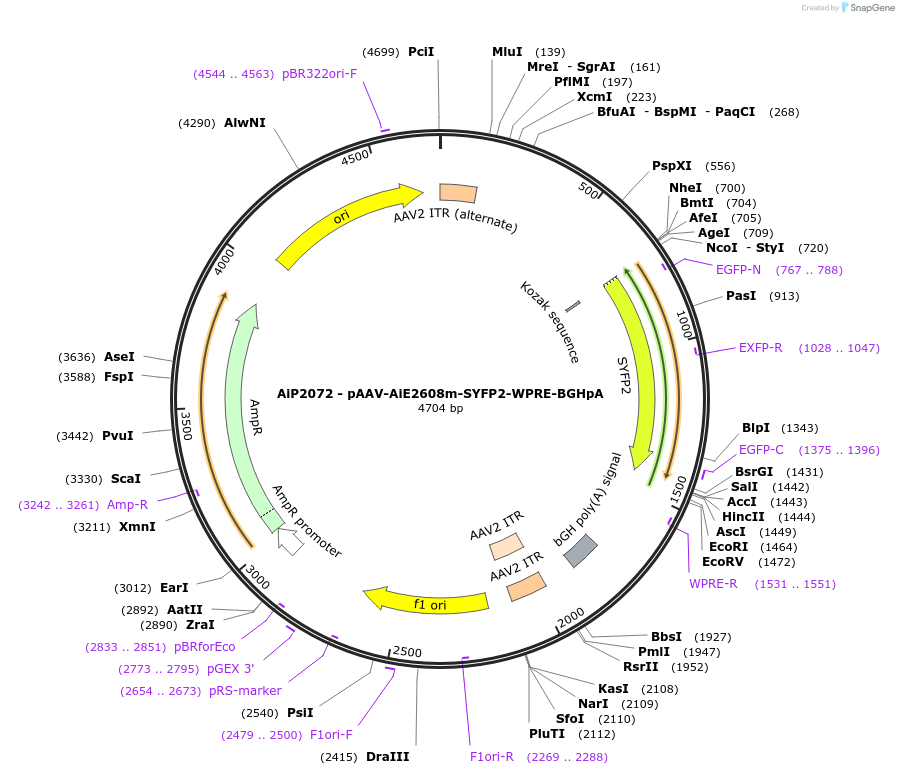462030_map