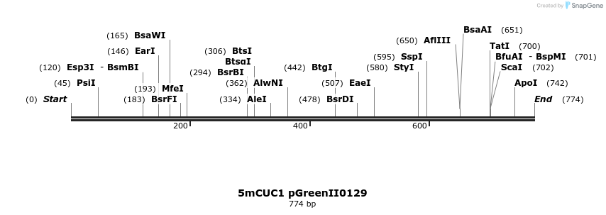 46204_map