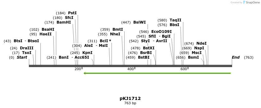 46205_map