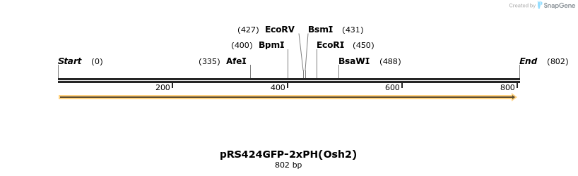 46206_map