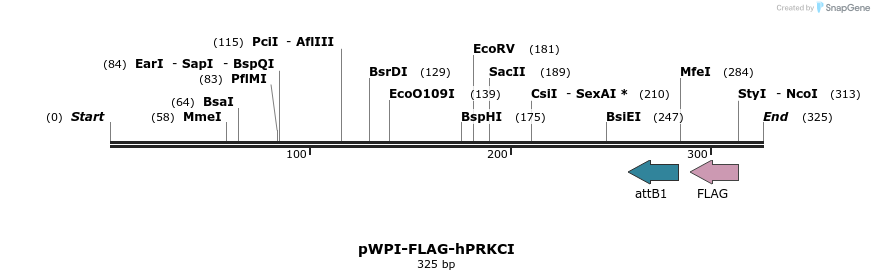 46208_map
