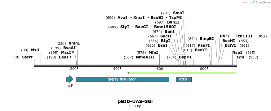 46209_map
