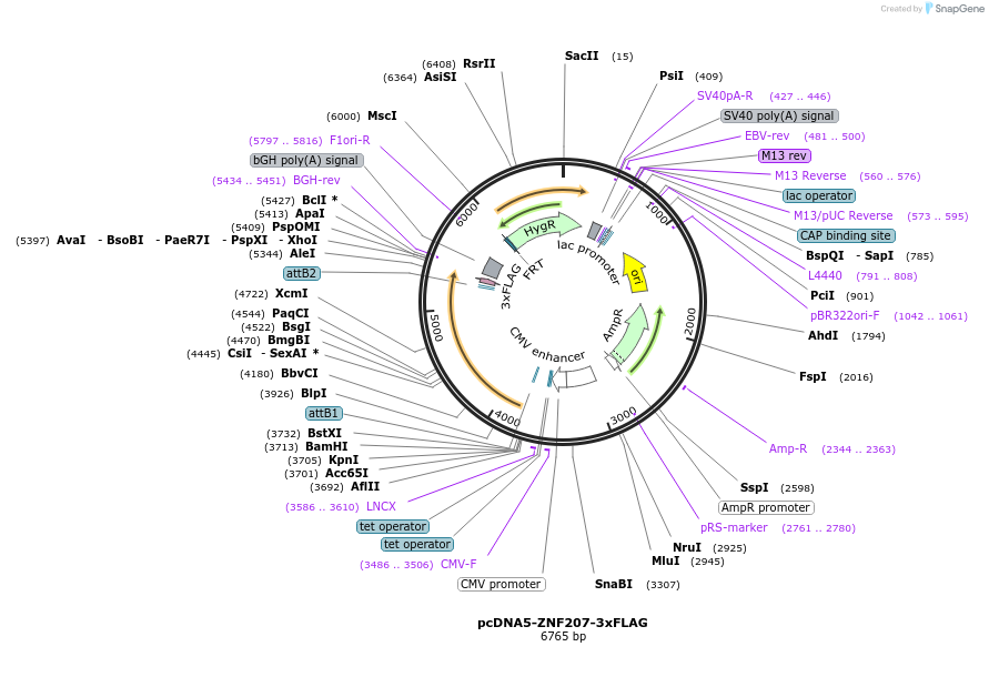 462090_map