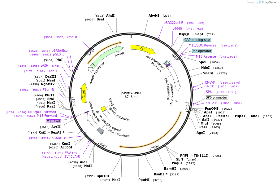 462098_map