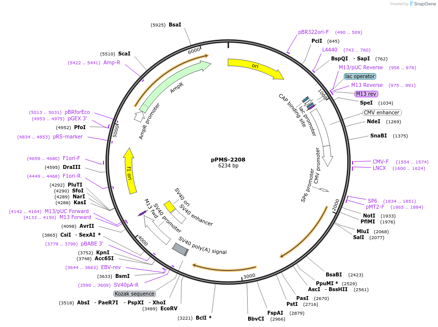 462101_map