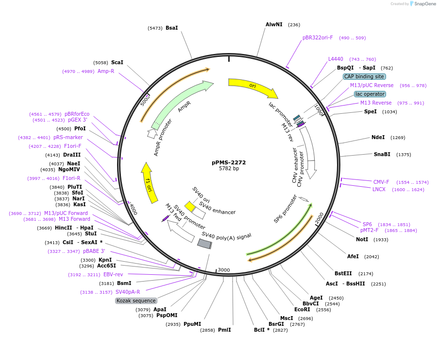 462102_map
