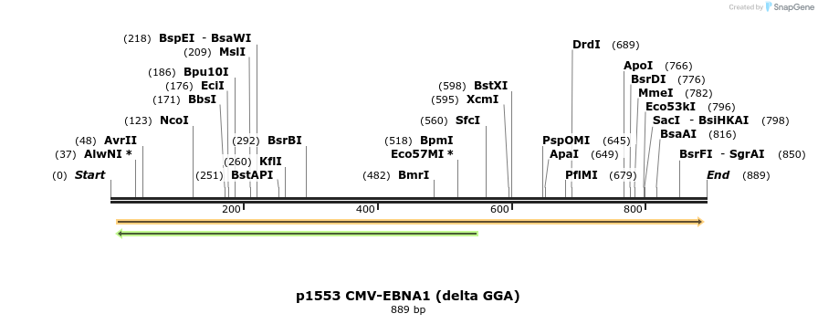 46211_map