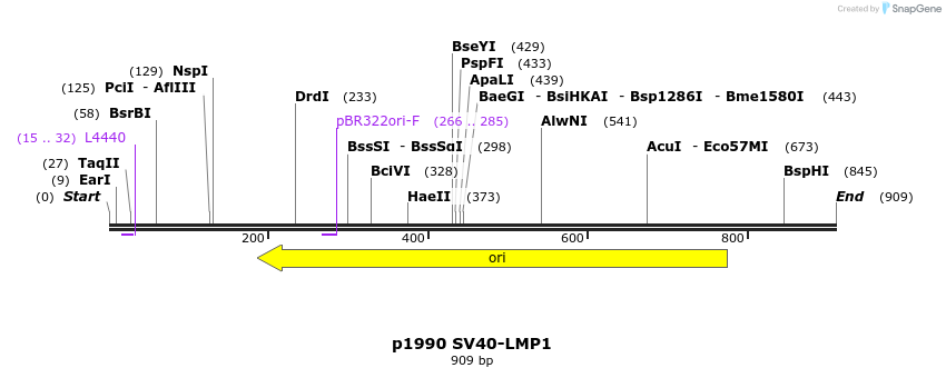 46212_map
