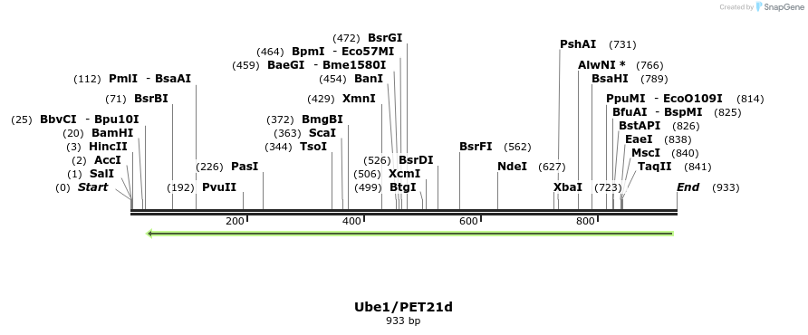 46213_map
