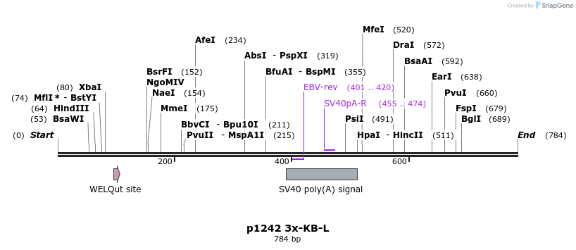 46214_map